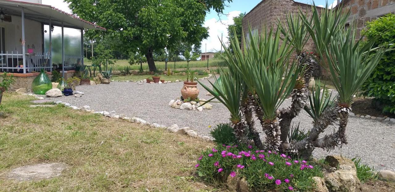 Bed and Breakfast La cascina della grotta di tufo San Valentino  Esterno foto